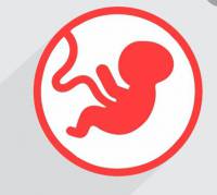 مجموعه سوالات مقدمات جنین شناسی 